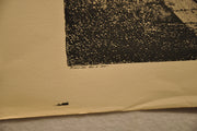 Luigi Rossini "Veduta dello scavo del Foro Trajano" Etching Print   - TvMovieCards.com