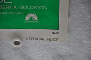 Original 1972 A Separate Peace Movie Poster 27 x 41 John Heyl, Parker Stevenson   - TvMovieCards.com