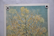 Vincent Van Gogh "Peach Tree In Bloom" Art Print Poster 19 x 27   - TvMovieCards.com