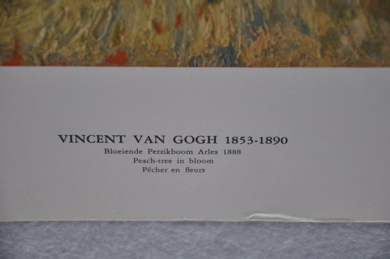 Vincent Van Gogh "Peach Tree In Bloom" Art Print Poster 19 x 27   - TvMovieCards.com