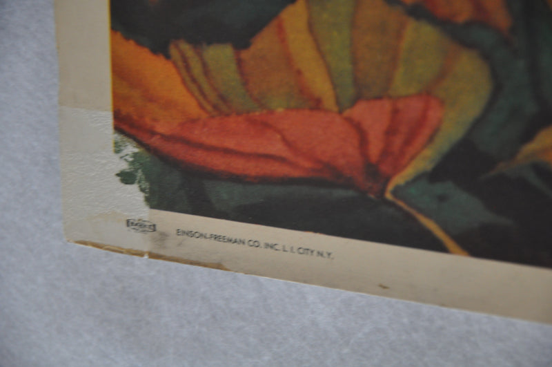 WWII War Poster "And if Our Lines Should Form" US Marine Corp (30 X 40) CC Beall   - TvMovieCards.com