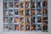Buffy The Vampire Slayer The Men of Sunnydale Base Card Set 81 Cards   - TvMovieCards.com