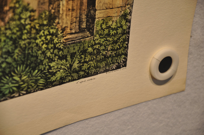 Luigi Rossini "Interno del Promao del Tempio di Ercole" Color Etching Print   - TvMovieCards.com