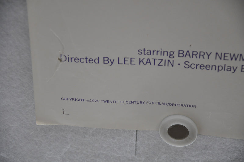 1972 The Salzburg Connection Original 1SH Movie Poster 27 x 41  Barry Newman   - TvMovieCards.com