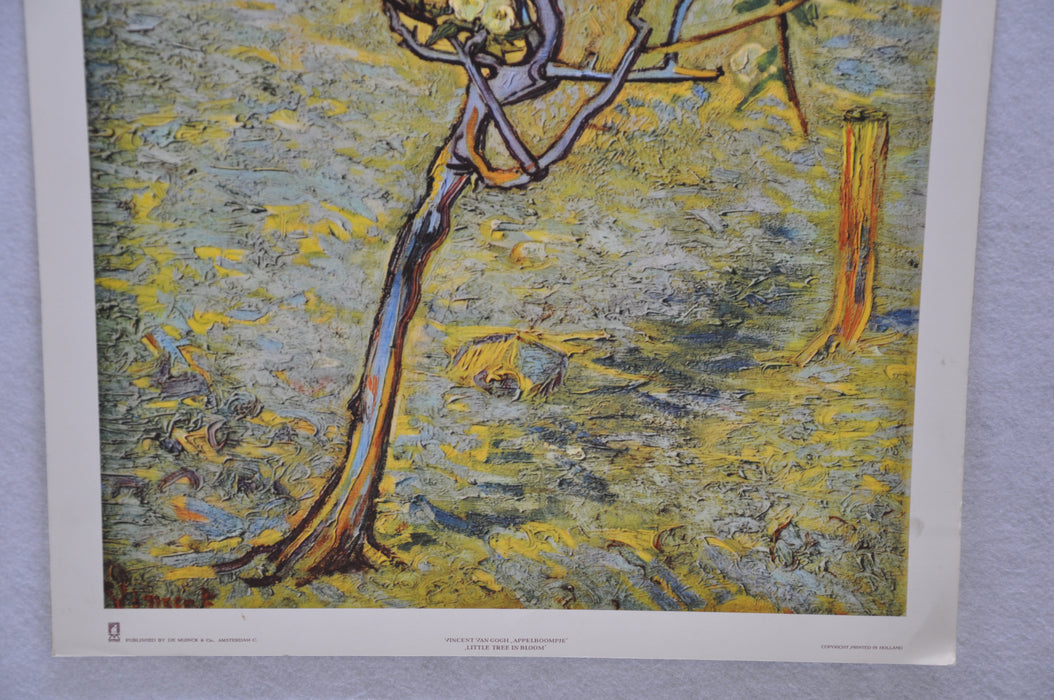 Vincent Van Gogh "Little Tree in Bloom" Art Print Poster 17 x 26   - TvMovieCards.com