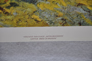 Vincent Van Gogh "Little Tree in Bloom" Art Print Poster 17 x 26   - TvMovieCards.com