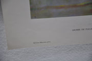 Simone Mounier "Flower Array" Art Print Poster 16 x 28   - TvMovieCards.com