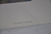 Simone Mounier "Flower Array" Art Print Poster 16 x 28   - TvMovieCards.com