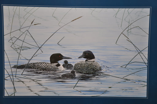 Johnny Filipchuk "First Generation Loons" Art Print Poster 19 x 25   - TvMovieCards.com