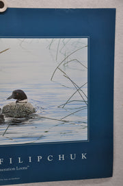 Johnny Filipchuk "First Generation Loons" Art Print Poster 19 x 25   - TvMovieCards.com