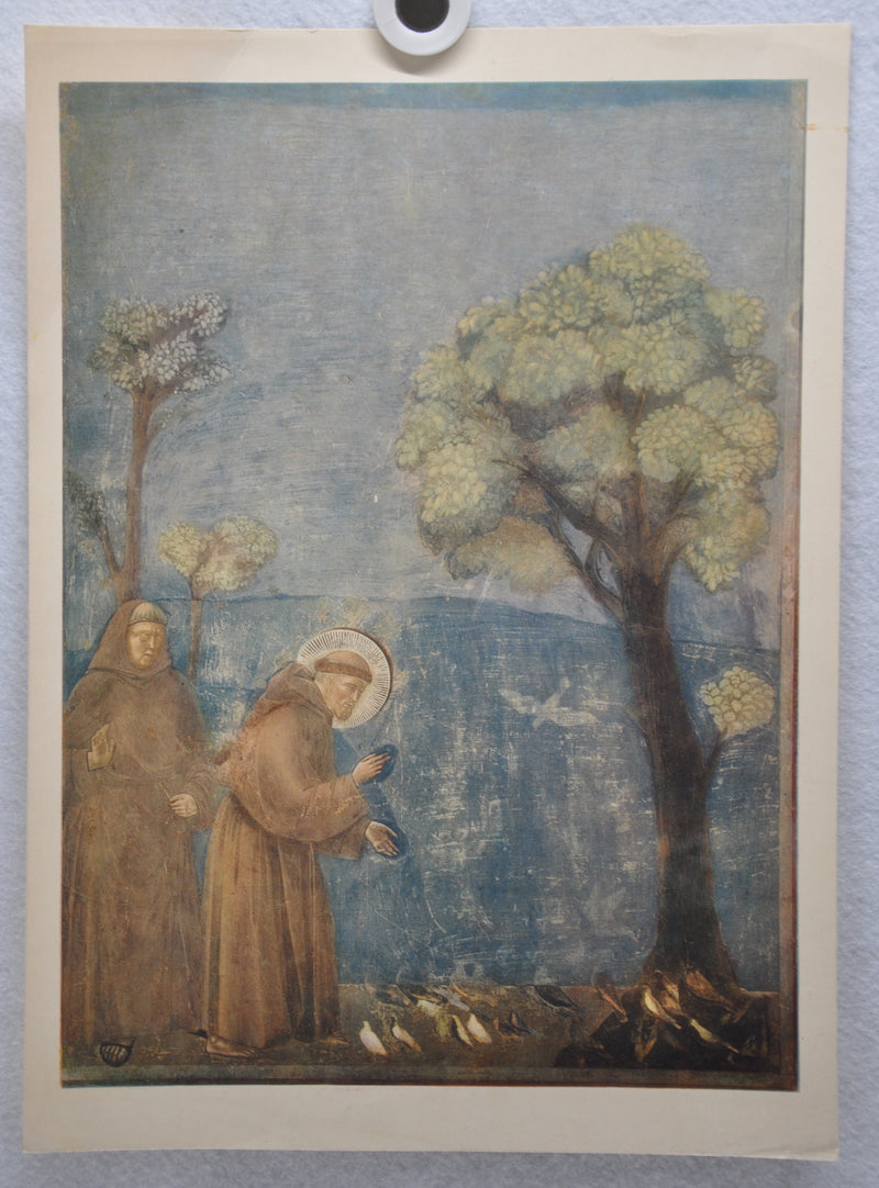 Fratelli Alinari "San Francesco Benedice GLI Ucceill" Lithograph Art Print   - TvMovieCards.com