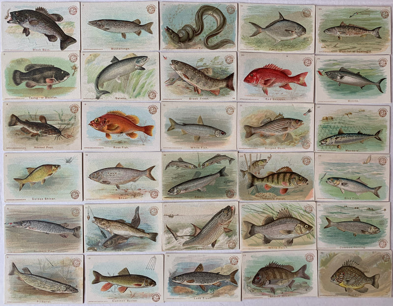 Fish Series 30 Card Set Arm & Hammer Large 1900 J15  Church & Co.   - TvMovieCards.com