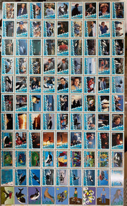 Free Willy 2 Movie Base Card Set 99 Cards Skybox 1995   - TvMovieCards.com