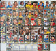 1994-95 Select Premier Edition Complete Racing 150 Card Set NASCAR - Earnhardt   - TvMovieCards.com