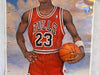 Michael Jordan Life size Growth Chart Poster Chicago Bulls 76 x 35 Chevrolet   - TvMovieCards.com