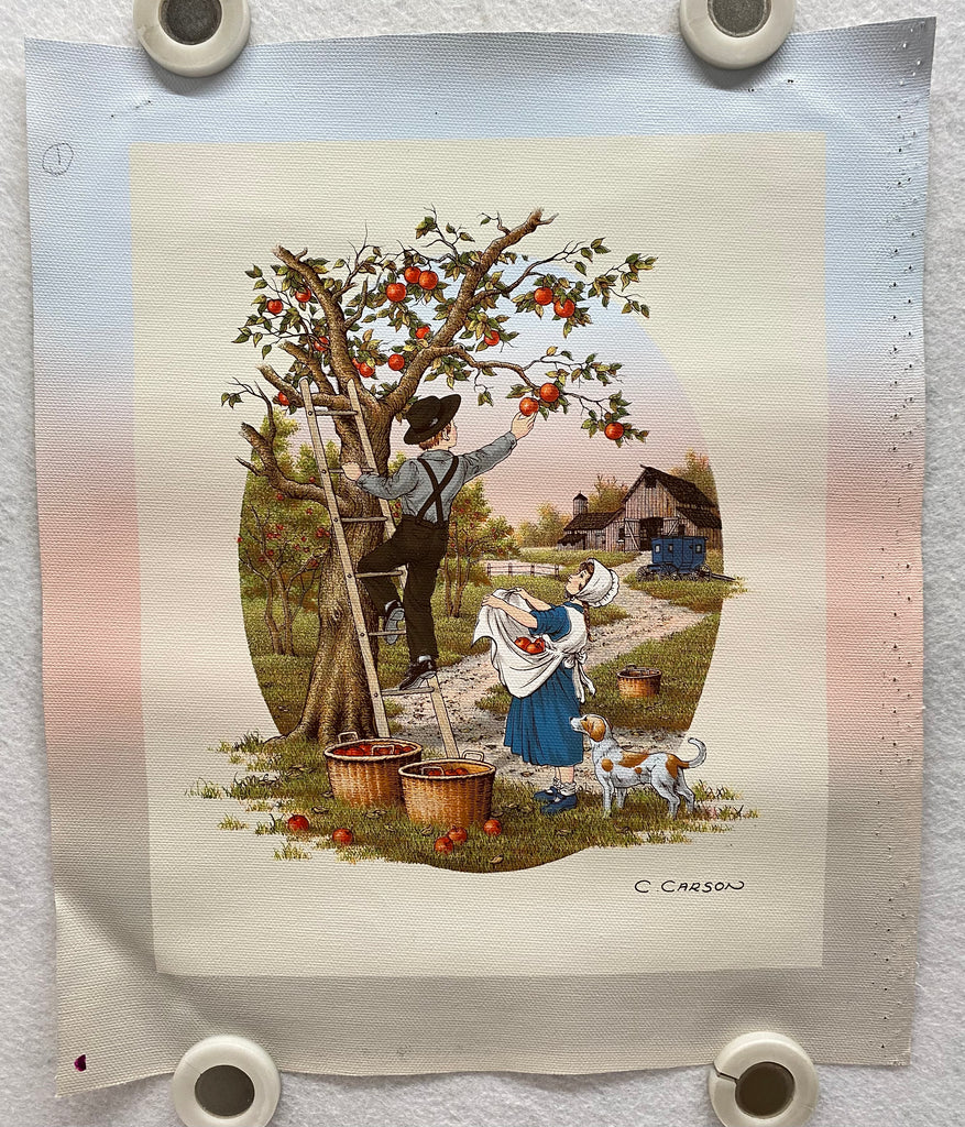 IMG_0533_399e5267-ee45-492a-