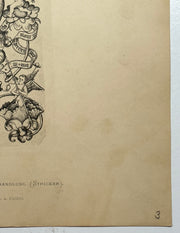 19th Century Decorative Art Ornament Lithograph Portfolio Print Germany 1877 #3   - TvMovieCards.com