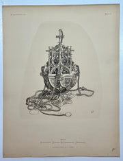 19th Century Decorative Art Ornament Lithograph Portfolio Print Germany 1877 #4   - TvMovieCards.com