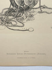 19th Century Decorative Art Ornament Lithograph Portfolio Print Germany 1877 #4   - TvMovieCards.com