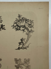 19th Century Decorative Art Ornament Lithograph Portfolio Print Germany 1877 #6   - TvMovieCards.com