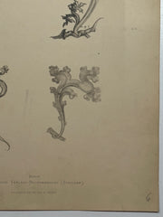 19th Century Decorative Art Ornament Lithograph Portfolio Print Germany 1877 #6   - TvMovieCards.com