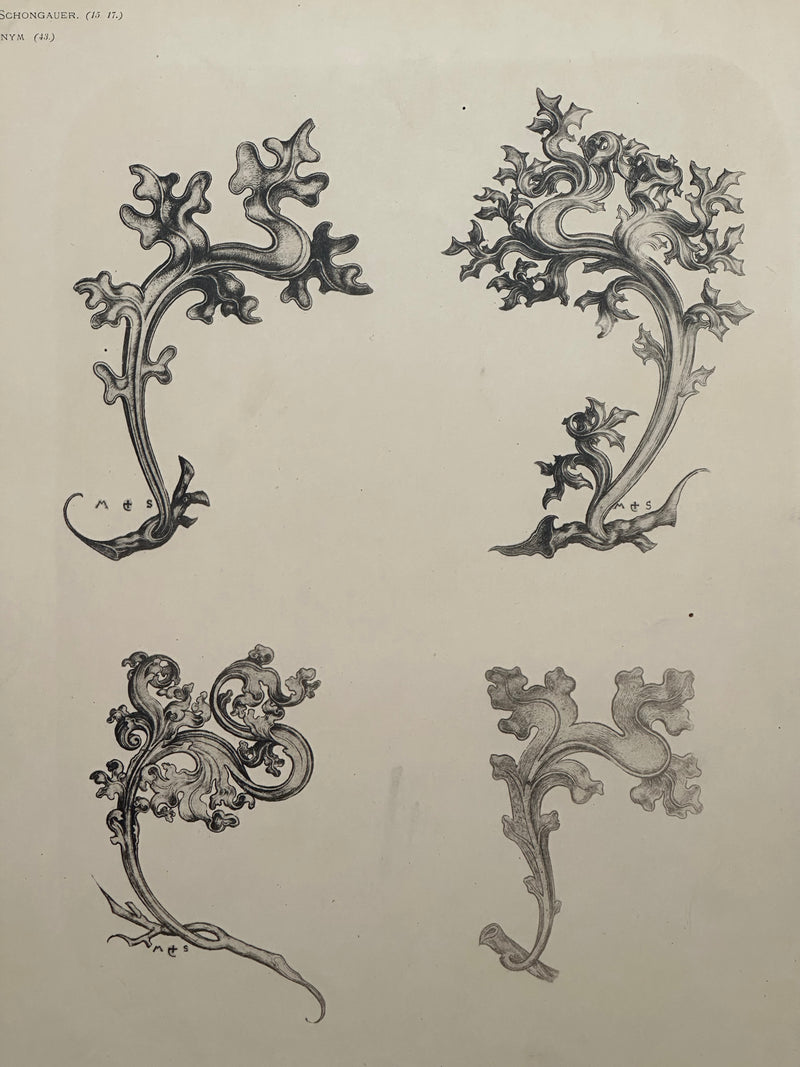 19th Century Decorative Art Ornament Lithograph Portfolio Print Germany 1877 #6   - TvMovieCards.com