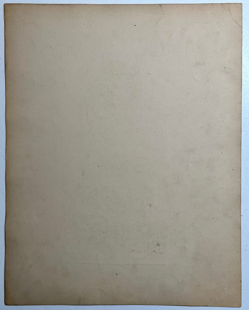 19th Century Decorative Art Ornament Lithograph Portfolio Print Germany 1877 #7   - TvMovieCards.com