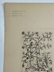 19th Century Decorative Art Ornament Lithograph Portfolio Print Germany 1877 #11   - TvMovieCards.com