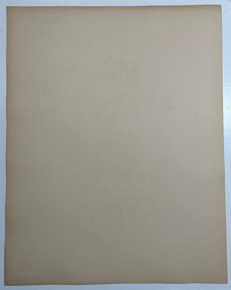 19th Century Decorative Art Ornament Lithograph Portfolio Print Germany 1877 #12   - TvMovieCards.com