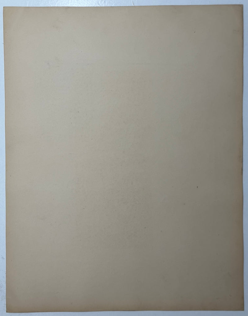 19th Century Decorative Art Ornament Lithograph Portfolio Print Germany 1877 #14   - TvMovieCards.com