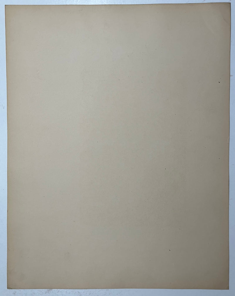19th Century Decorative Art Ornament Lithograph Portfolio Print Germany 1877 #16   - TvMovieCards.com