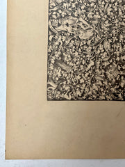 19th Century Decorative Art Ornament Lithograph Portfolio Print Germany 1877 #17   - TvMovieCards.com