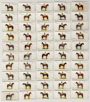 1933 Derby and Grand Nationals Winners Players Cigarettes Trading Card Set of 50   - TvMovieCards.com