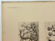 19th Century Decorative Art Ornament Lithograph Portfolio Print Germany 1877 #30   - TvMovieCards.com