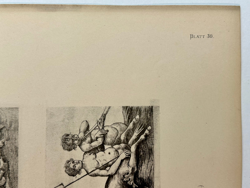 19th Century Decorative Art Ornament Lithograph Portfolio Print Germany 1877 #30   - TvMovieCards.com