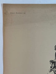 19th Century Decorative Art Ornament Lithograph Portfolio Print Germany 1877 #37   - TvMovieCards.com