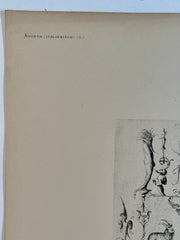 19th Century Decorative Art Ornament Lithograph Portfolio Print Germany 1877 #38   - TvMovieCards.com