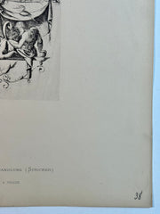 19th Century Decorative Art Ornament Lithograph Portfolio Print Germany 1877 #38   - TvMovieCards.com