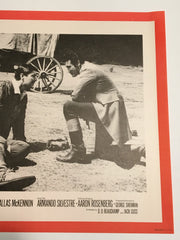 Daniel Boone: Frontier Trail Rider 1966 Lobby Card #8 Fess Parker Patricia Blair   - TvMovieCards.com