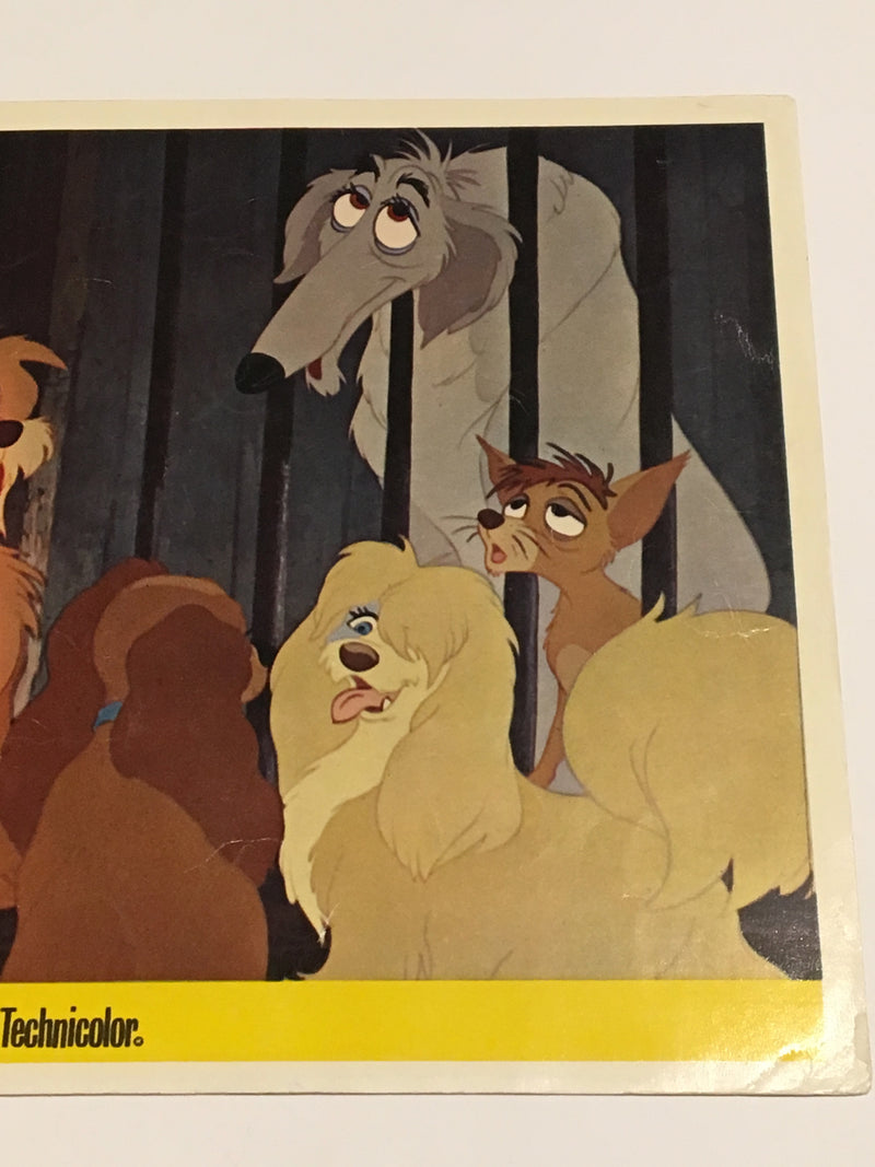Lady and the Tramp Technicolor 1963 Lobby Card #1 Walt Disney Animation   - TvMovieCards.com