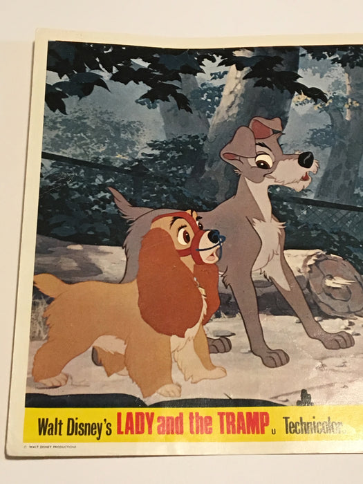 Lady and the Tramp Technicolor 1963 Lobby Card #5 Walt Disney Animation   - TvMovieCards.com