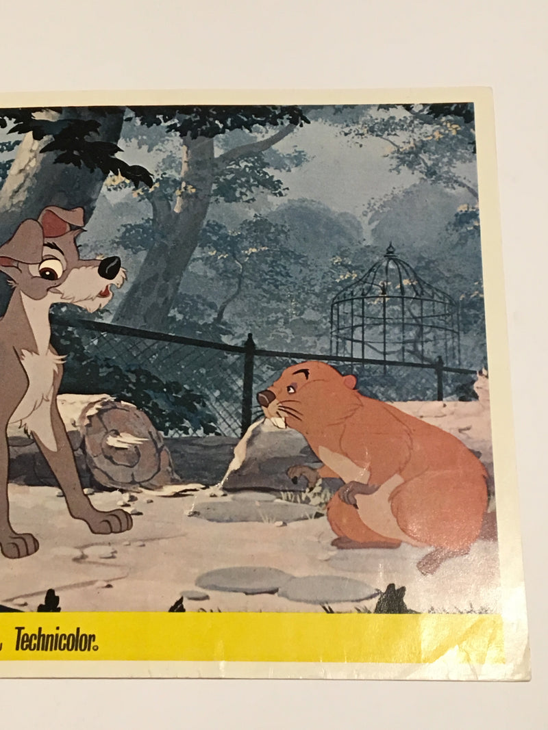 Lady and the Tramp Technicolor 1963 Lobby Card #5 Walt Disney Animation   - TvMovieCards.com