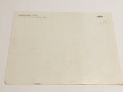 Lady and the Tramp Technicolor 1963 Lobby Card #7 Walt Disney Animation   - TvMovieCards.com