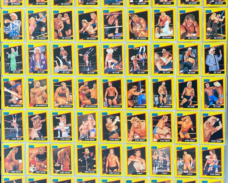1991 WCW Pro Wrestling Complete Trading Base Card Set 162 Cards Impel   - TvMovieCards.com