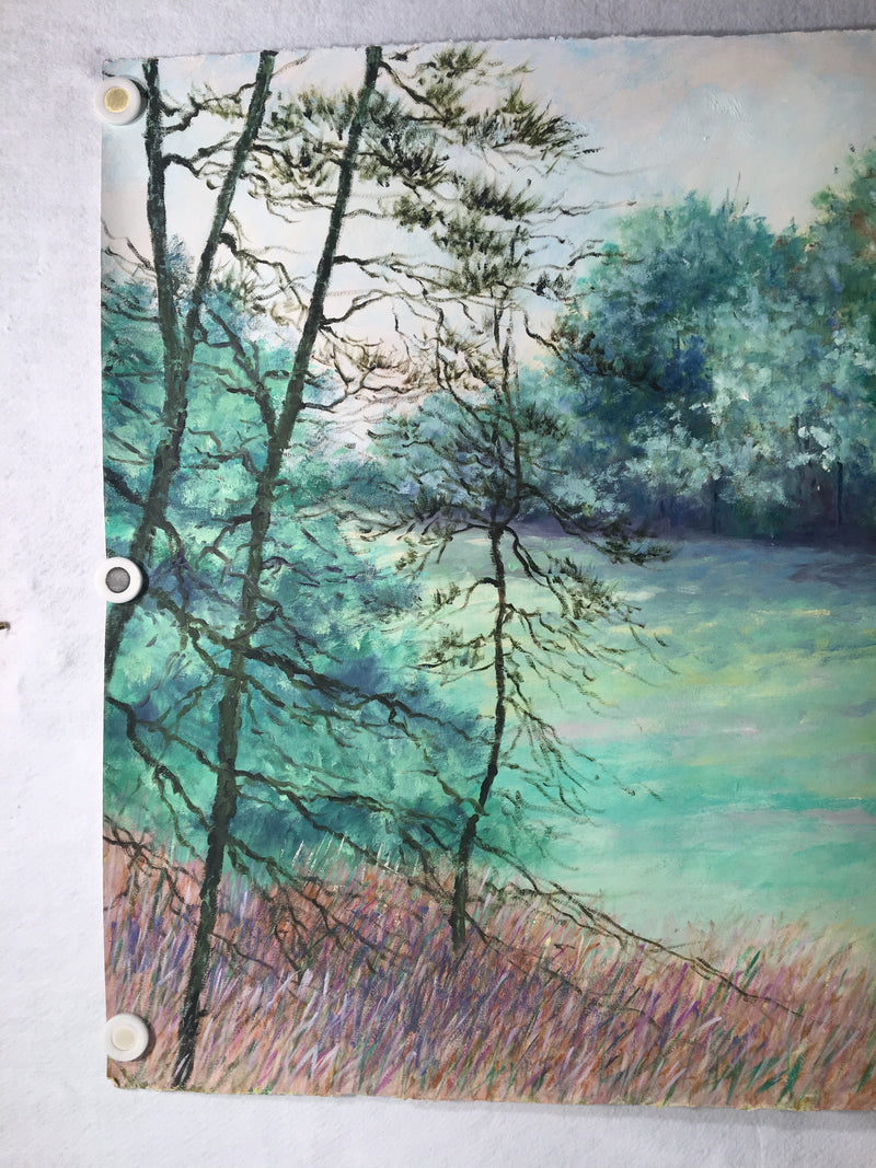 MARJORIE ALLEGRETTI (20TH CENTURY) Cannon Hill Pines Landscape Oil Paper Signed   - TvMovieCards.com