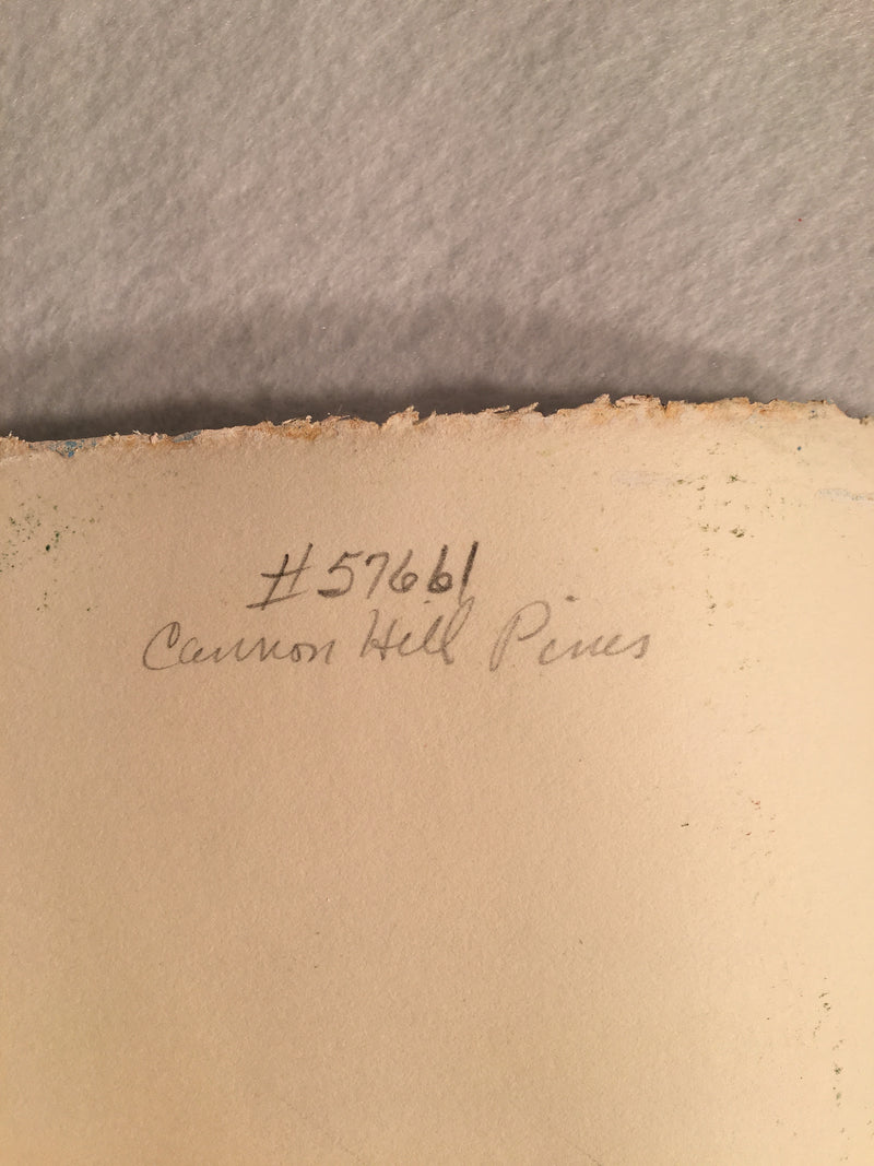 MARJORIE ALLEGRETTI (20TH CENTURY) Cannon Hill Pines Landscape Oil Paper Signed   - TvMovieCards.com