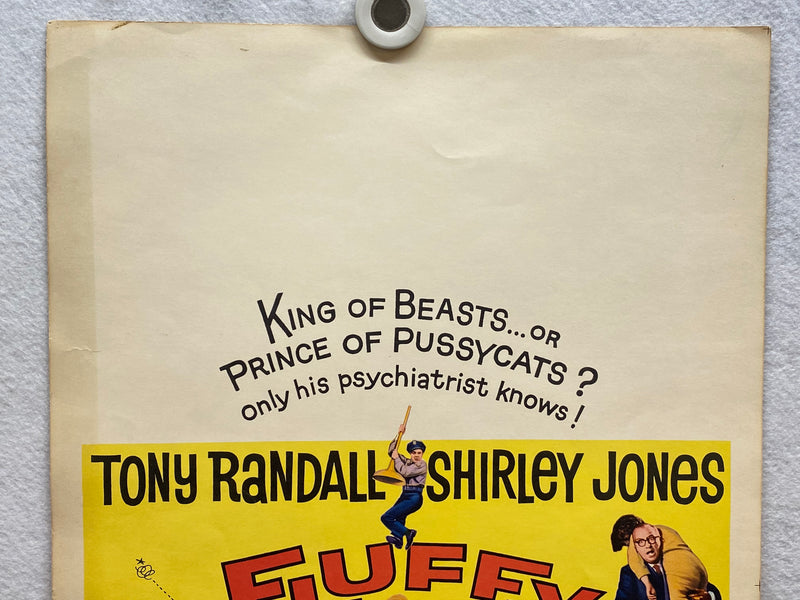 1965 Fluffy Window Card Movie Poster 14 x 22 Tony Randall, Shirley Jones   - TvMovieCards.com
