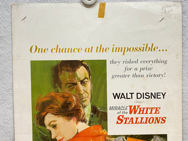 1963 Miracle of the White Stallions Window Card Movie Poster 14x22 Robert Taylor   - TvMovieCards.com