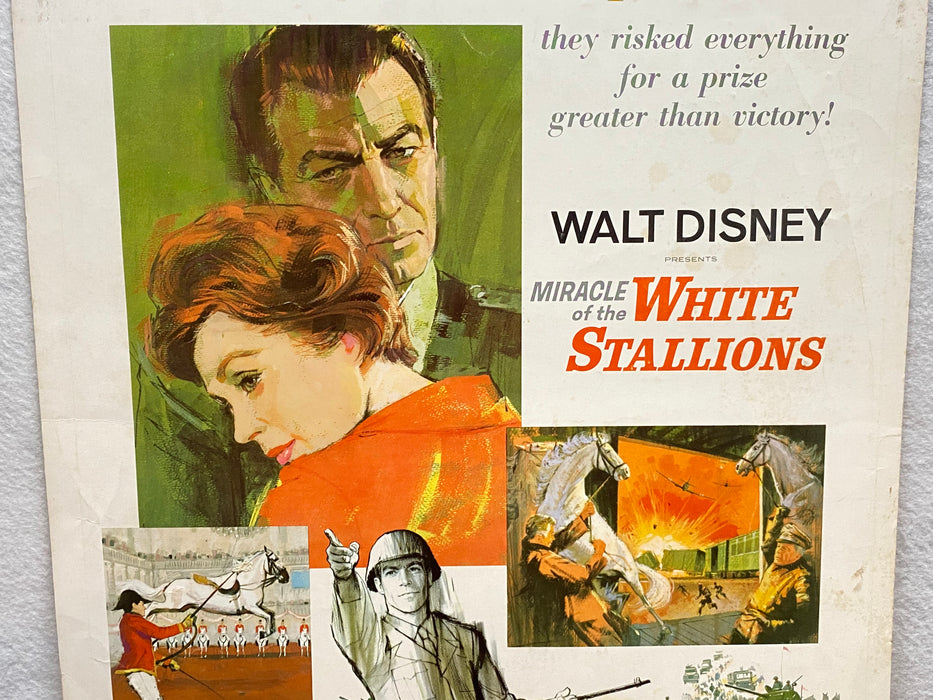 1963 Miracle of the White Stallions Window Card Movie Poster 14x22 Robert Taylor   - TvMovieCards.com
