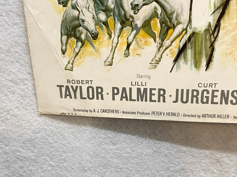 1963 Miracle of the White Stallions Window Card Movie Poster 14x22 Robert Taylor   - TvMovieCards.com